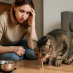 Gatto vomita dopo i pasti: quando preoccuparsi e come prevenire ricadute
